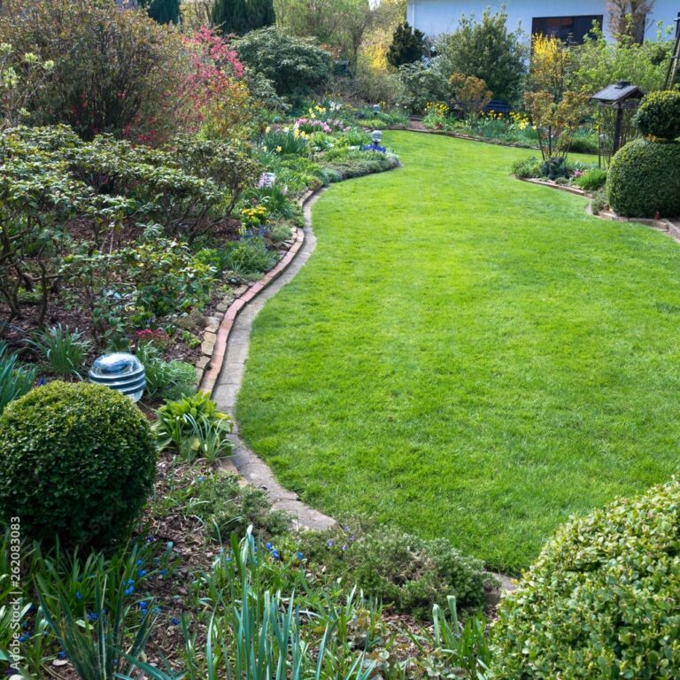 AdobeStock_262083083_Preview